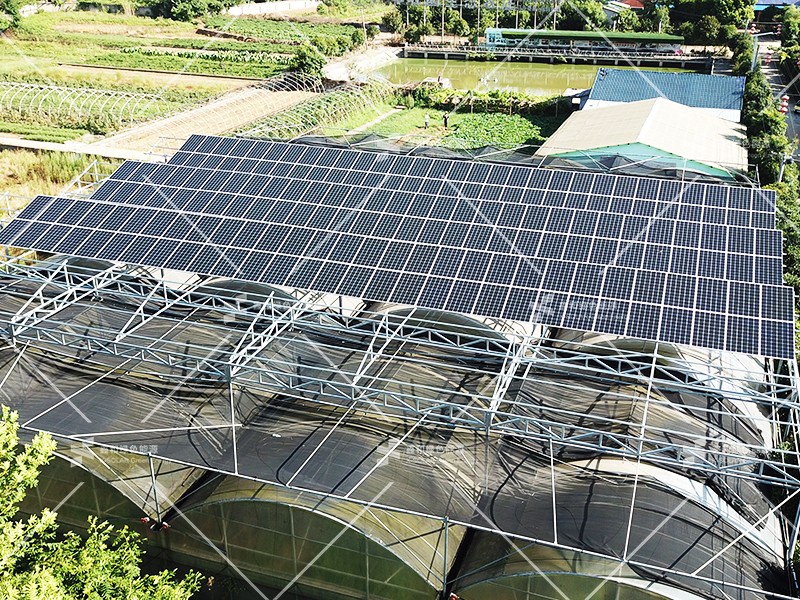 湖北bat365绿色能源有限公司