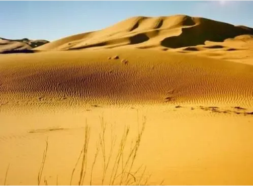 湖北bat365绿色能源有限公司