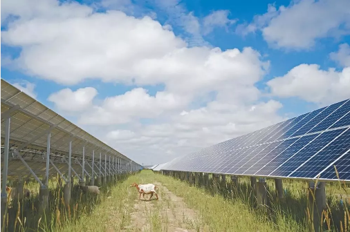 湖北bat365绿色能源有限公司