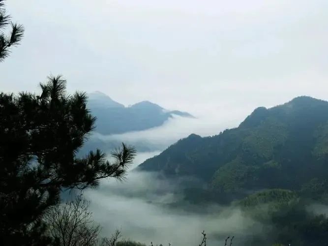 湖北bat365绿色能源有限公司