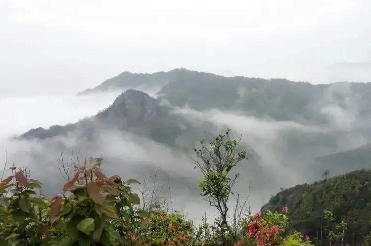 湖北bat365绿色能源有限公司