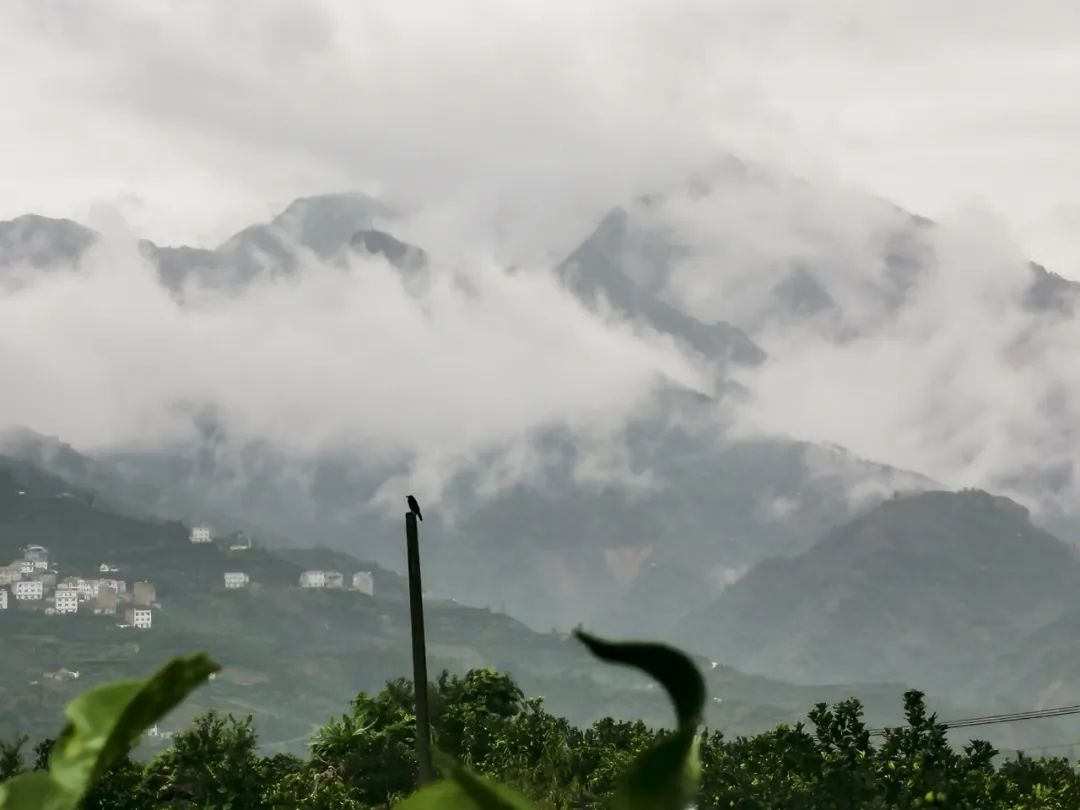 湖北bat365绿色能源有限公司