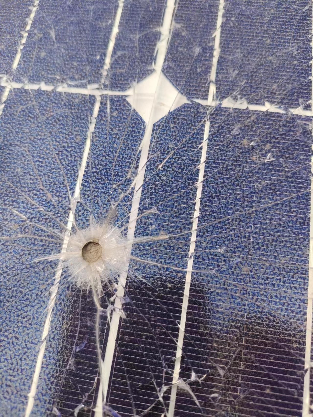 湖北bat365绿色能源有限公司